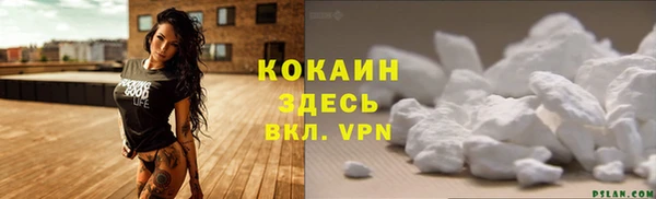 СК Белокуриха