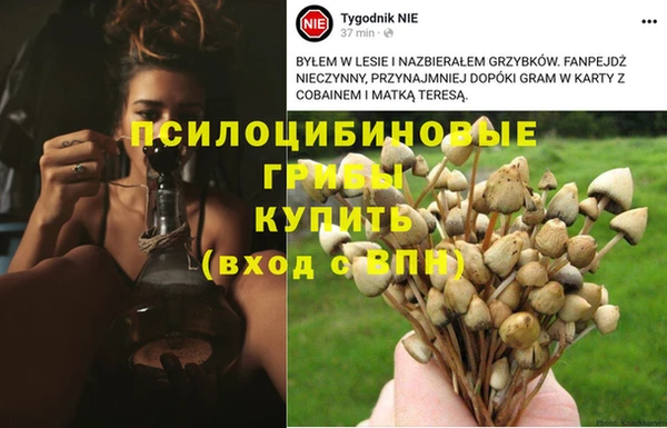 МДПВ Балахна