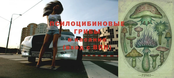 СК Белокуриха