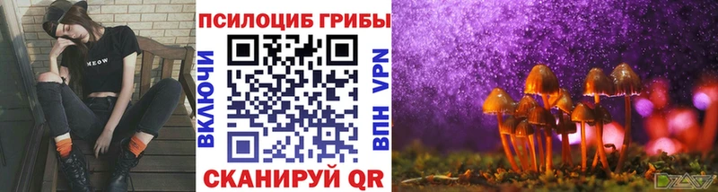 Галлюциногенные грибы Cubensis  Купить закладки  Лебедянь 